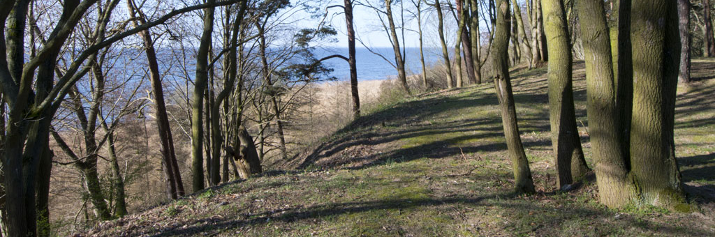 Ferienh&auml;user auf Usedom