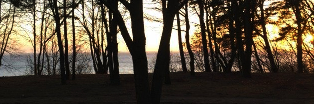 Ferienh&auml;user auf Usedom