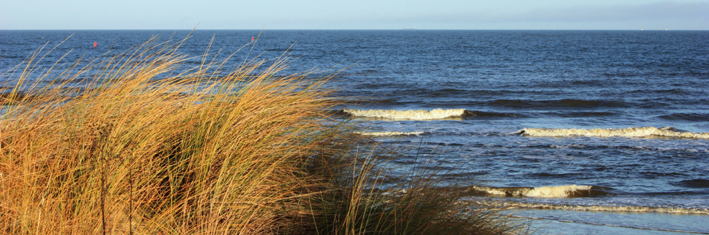 Ferienh&auml;user auf Usedom