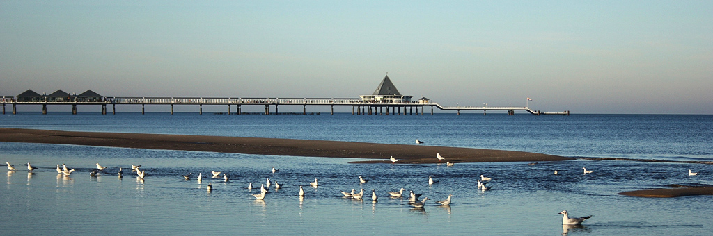 Ferienh&auml;user auf Usedom
